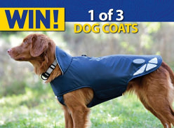Win 1 of 3 Weatherbeeta Outdoor Dog Coats