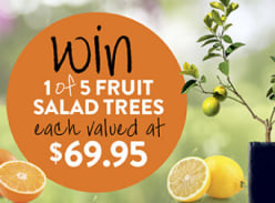 Win 1 of 5 Fruit Salad Trees