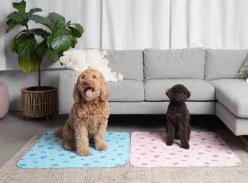 Win 1 of 5 Potty Buddy Reusable Pet Pads