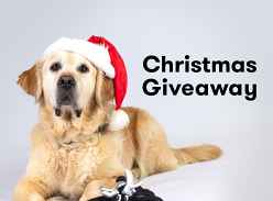 Win 1 of 5 Reindeer Droolly Dogs