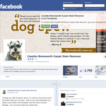 Win 1 of 6 Cavalier Bremworth carpet stain removers every week! - Cavalier Bremworth Carpet Stain Remover