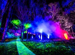 Win 1 of 6 Family Passes to the Moama Lights Festival