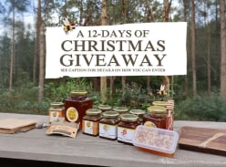 Win a 12-Days of Christmas Giveaway