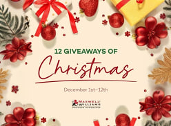 Win 12 Giveaways of Christmas