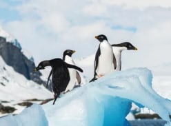 Win a 13-Day Antarctic Explorer Expedition Voyage