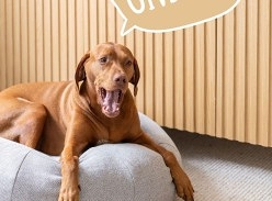 Win 1 of 2 Classic Cuddler Beds of Your Choice