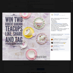 Win 2 Robert Gordon 'Spring Fling' teacups, In the colour of your choice!