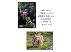 Win a 2026 Australian Wildlife Calendar