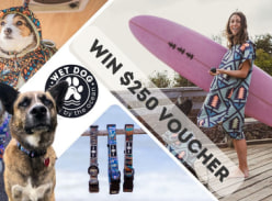 Win $250 Worth of Sustainable and Adventure-Ready Dog Gear