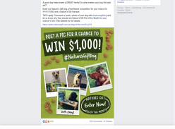 Win a $1,000 Cash Giveaway & More