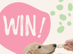 Win a $250 Dog Treat Voucher