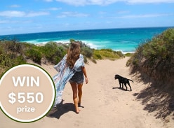 Win a $500 Holidaying with Dogs Voucher and a Year