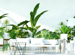 Win a $500 Voucher to Spend on Home Decor