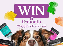 Win a 6 Month Waggly Subscription