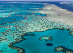 Win a 7-Day Guided Tour of The Great Barrier Reef (Including Flights) with Intrepid Travel