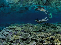 Win a 7-Night Dive Holiday for 2 at Walindi Plantation Resort