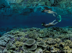 Win a 7-Night Dive Holiday for 2 at Walindi Plantation Resort