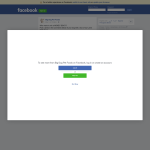 Win a 'Big Dog' money box! - Big Dog Pet Foods