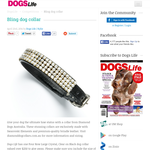 Win a Bling dog collar