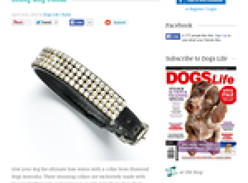 Win a Bling dog collar