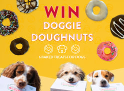 Win a Box of Doggy Doughnuts