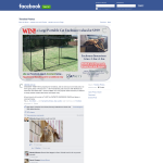 Win a cat enclosure and accessories. - Catnets
