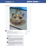 Win a Cat Shopping Bag