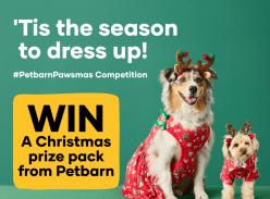 Win a Christmas Prize Pack