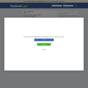 Win a delicious Creme Burlee Choc Block! - Edible Blooms