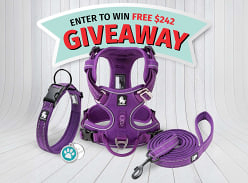 Win a Dog Nation Prize Pack for Your Dog