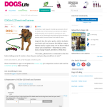 Win a DOGlite LED leash and harness