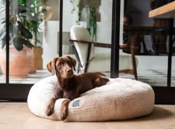 Win a Dream Dreameazzzy Cuddler Large Dog Bed
