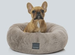 Win a Dreameazzzy Large Dog Bed