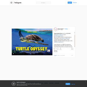Win a family pass to see Turtle Odyssey 3D