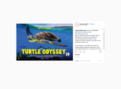 Win a family pass to see Turtle Odyssey 3D