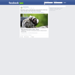 Win a Family Pass to Tasmania Zoo - Tasmania Zoo