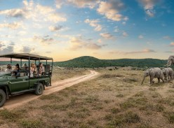 Win a Family Trip to South Africa