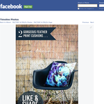 Win a Feather Print Cushion - Factory & Field