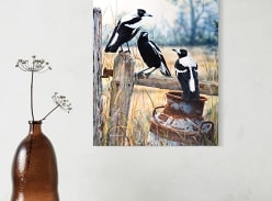 Win a Fine Art Print of Country Lifestyle - Australian Magpies on Milk Can