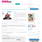 Win a Free Dr Katrina Wonderdog School Registration