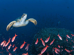 Win a Galápagos Islands Cruise for 2