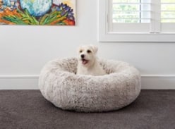 Win a Hugzzztm Ortho Curl up Cloud Pet Bed in Alpine