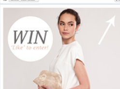 Win a 'Lucy' by Lauren Merkin designer clutch bag!