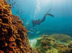 Win a Luxury Trip for 2 to The Great Barrier Reef