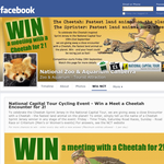 Win a Meet a Cheetah Encounter for 2
