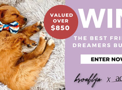 Win a Memory Foam Pet Bed, Throw and a $500 Adairs Voucher