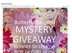 Win a Mystery Prize