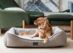 Win a Ortho Dog Haven Dog Bed