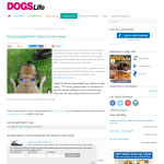 Win a Personalized Collar