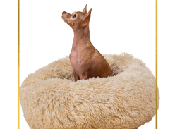 Win a Pet Bed, Dog Harness, Leash and a Custom Pet Portrait Bundle
